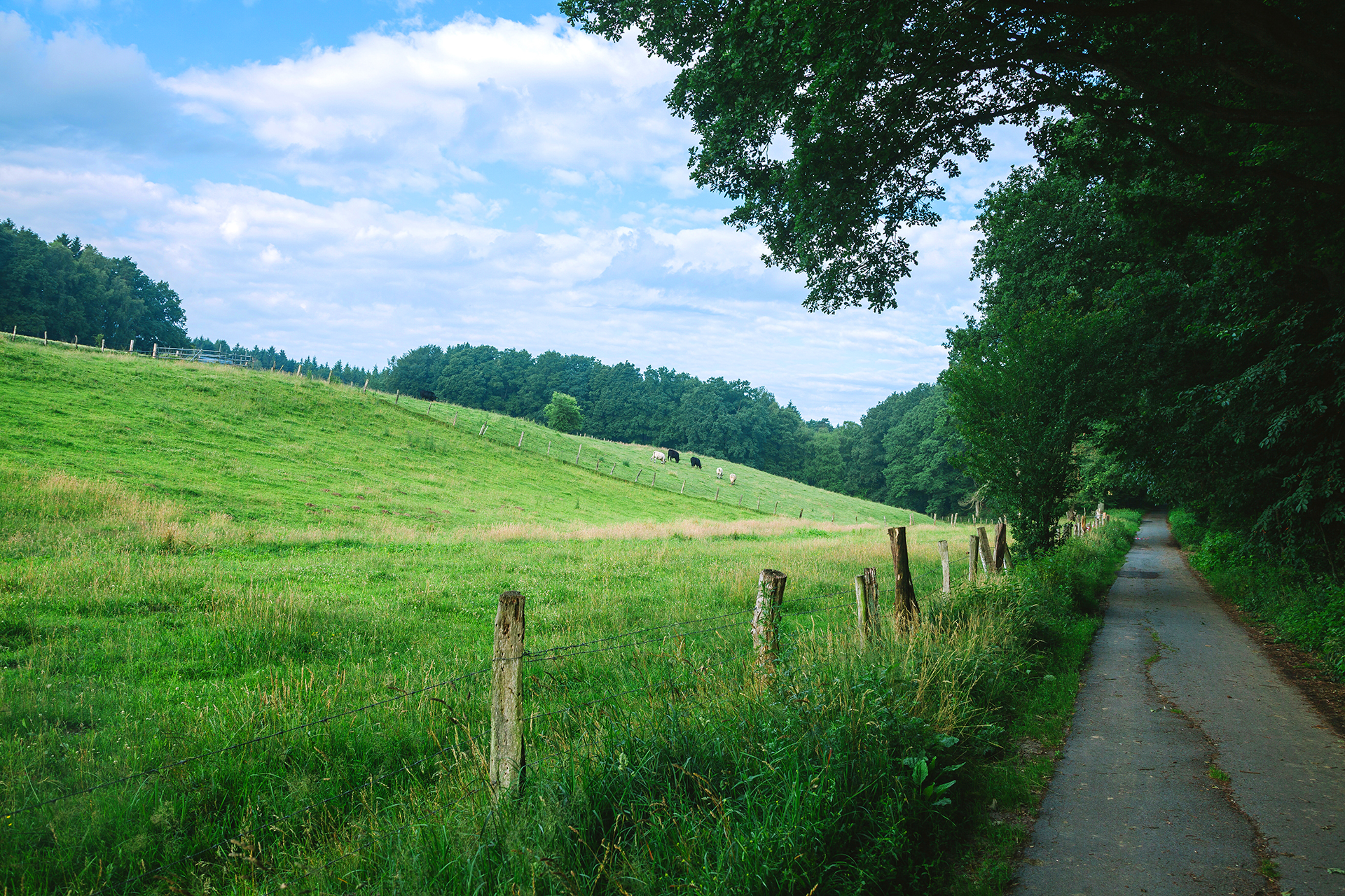 Private Access Road Within a Country Setting